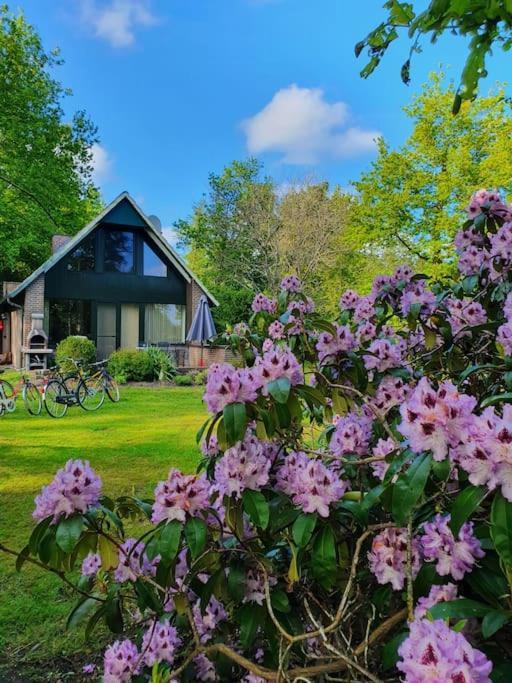 Ferienhaus Blauer See Mit Optionalem Hot-Tub Бокгорн Екстер'єр фото