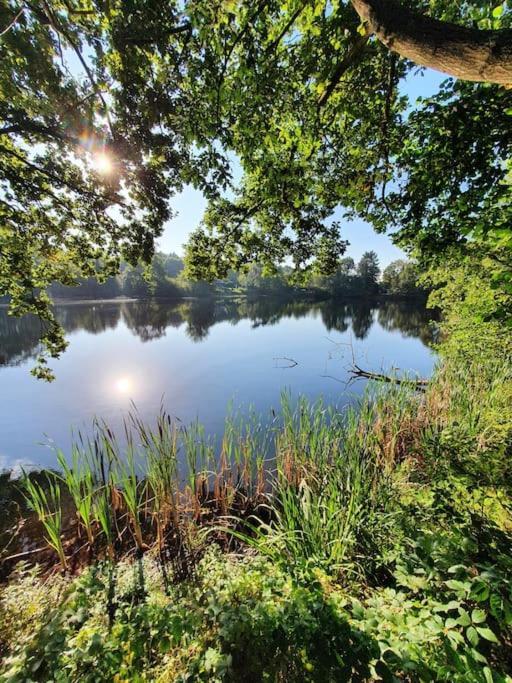 Ferienhaus Blauer See Mit Optionalem Hot-Tub Бокгорн Екстер'єр фото